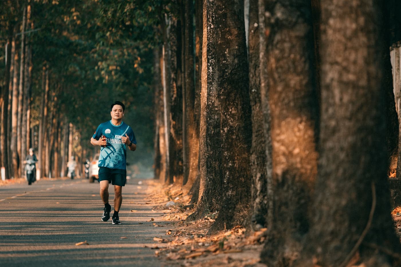 A runner jogging along a tree-lined road on a sunny morning